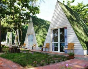Thiết kế căn hộ Ken homestay